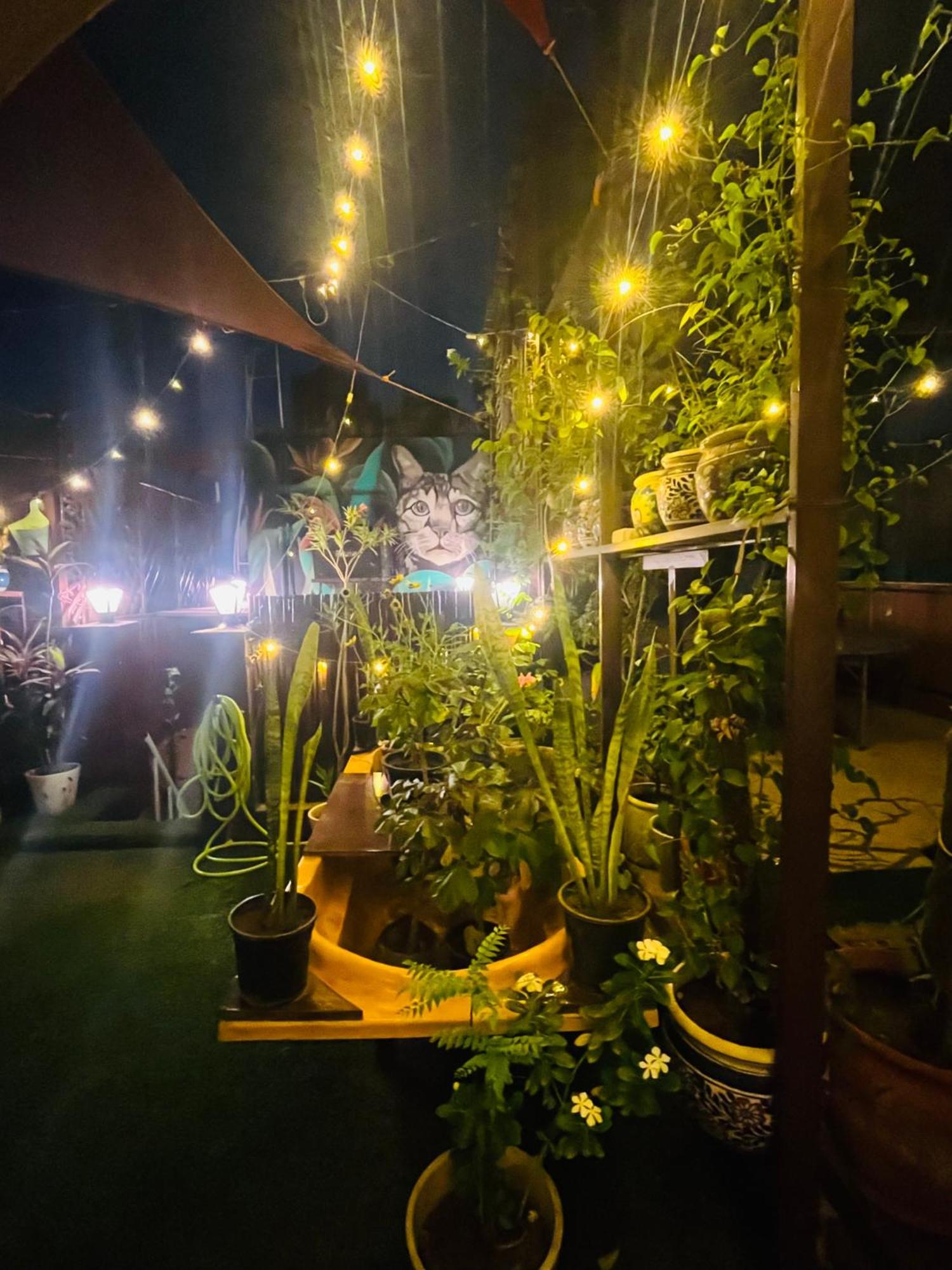 Apartmán Anavrin Art House Nové Dillí Exteriér fotografie